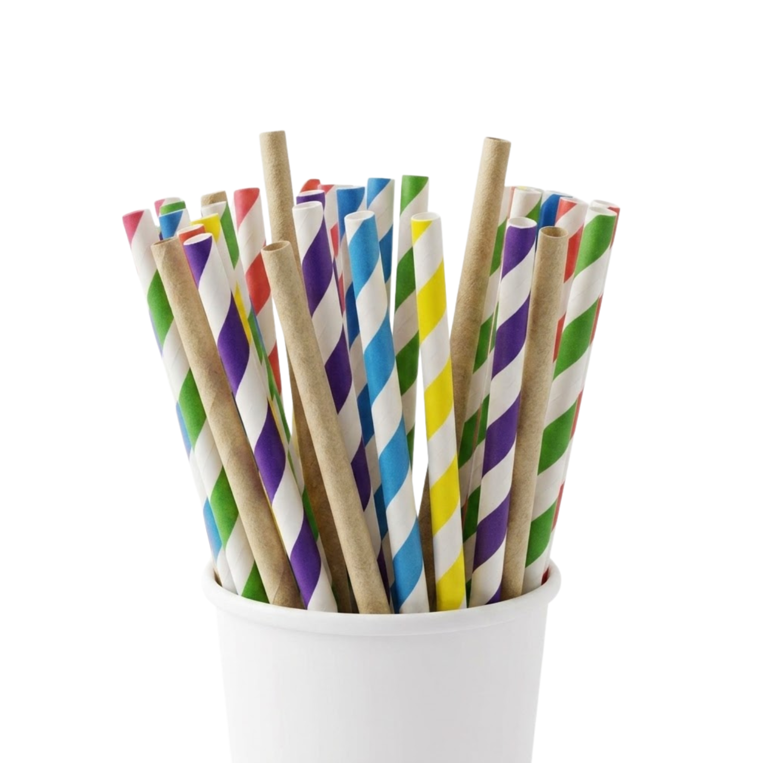 Paper and sugarcane straws made at our factory
