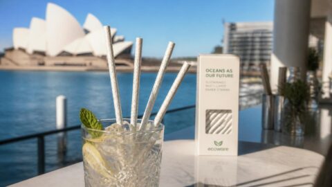Bulk and wholesale paper straws supply for cafes and bars in Sydney
