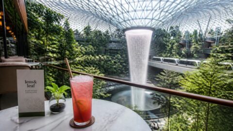 Traveler enjoying a drink with a paper straw at a Changi Airport cafe in Singapore
