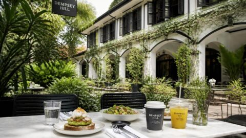 Dempsey Hill garden-set upscale restaurant in Singapore with outdoor seating and premium paper cups