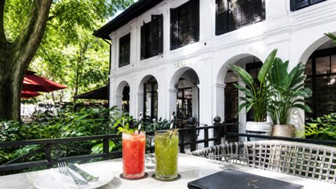 Dempsey Hill garden-set upscale restaurant in Singapore with outdoor seating and paper straws