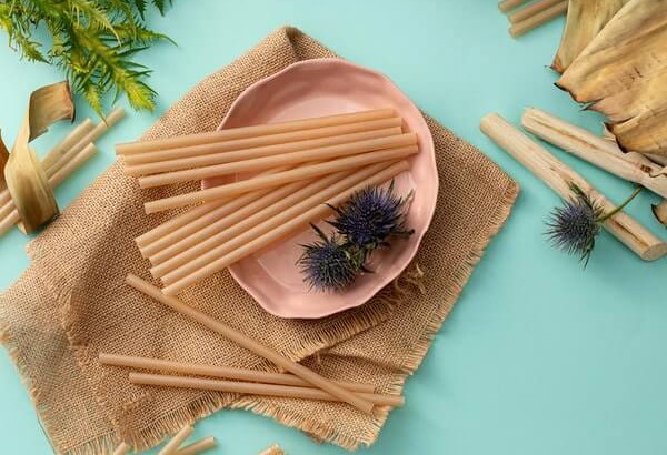 Raw plant-based materials used for manufacturing compostable straws and packaging